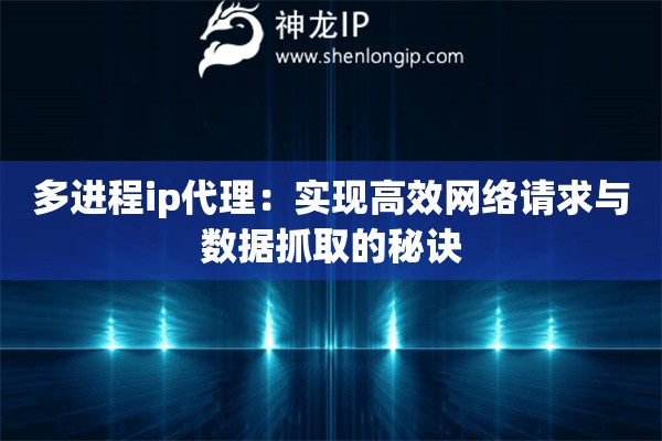 多進(jìn)程ip代理：實(shí)現(xiàn)高效網(wǎng)絡(luò)請(qǐng)求與數(shù)據(jù)抓取的秘訣