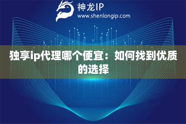 獨享ip代理哪個便宜：如何找到優(yōu)質(zhì)的選擇