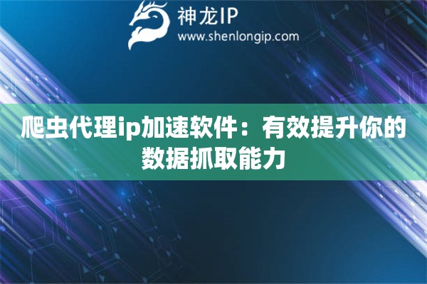 爬蟲代理ip加速軟件：有效提升你的數(shù)據(jù)抓取能力