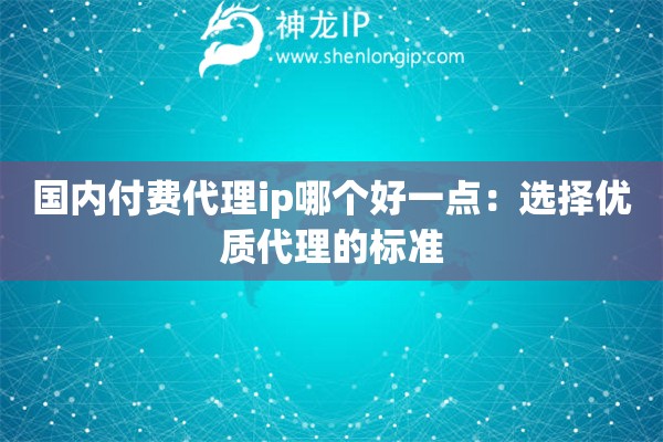 國(guó)內(nèi)付費(fèi)代理ip哪個(gè)好一點(diǎn)：選擇優(yōu)質(zhì)代理的標(biāo)準(zhǔn)