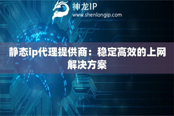 靜態(tài)ip代理提供商：穩(wěn)定高效的上網(wǎng)解決方案