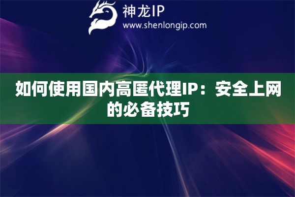 如何使用國內(nèi)高匿代理IP：安全上網(wǎng)的必備技巧