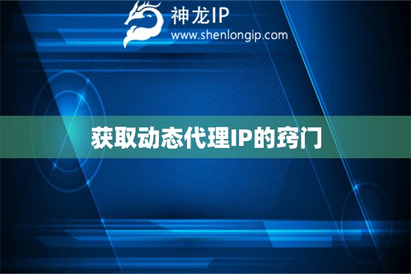 獲取動(dòng)態(tài)代理IP的竅門