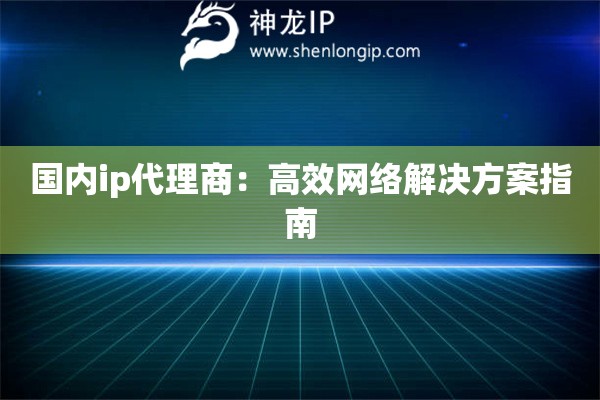 國(guó)內(nèi)ip代理商：高效網(wǎng)絡(luò)解決方案指南