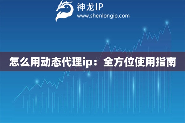 怎么用動態(tài)代理ip：全方位使用指南