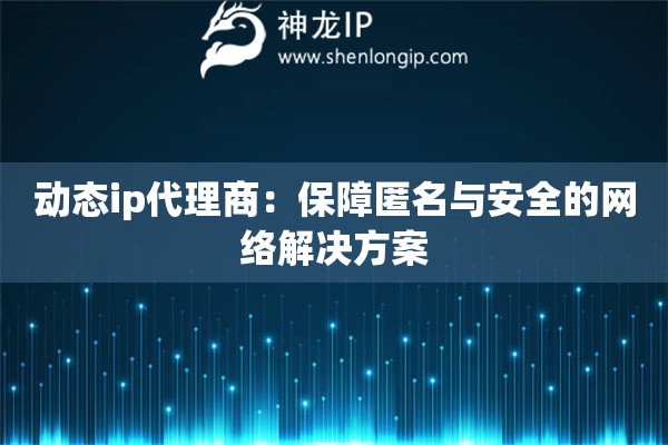 動態(tài)ip代理商：保障匿名與安全的網(wǎng)絡(luò)解決方案