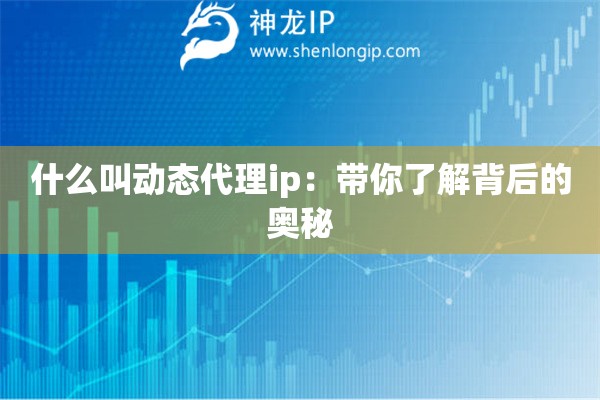 什么叫動態(tài)代理ip：帶你了解背后的奧秘
