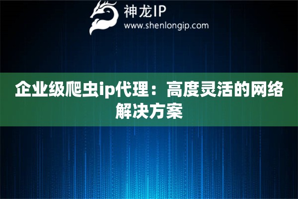 企業(yè)級(jí)爬蟲(chóng)ip代理：高度靈活的網(wǎng)絡(luò)解決方案