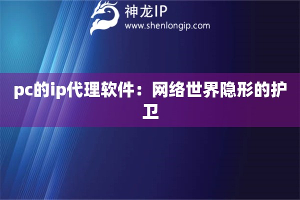 pc的ip代理軟件：網(wǎng)絡(luò)世界隱形的護(hù)衛(wèi)