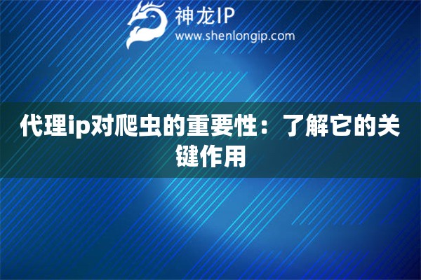代理ip對(duì)爬蟲的重要性：了解它的關(guān)鍵作用
