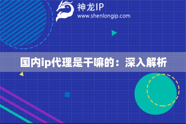 國(guó)內(nèi)ip代理是干嘛的：深入解析