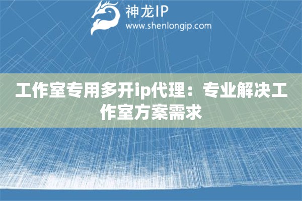 工作室專用多開ip代理：專業(yè)解決工作室方案需求