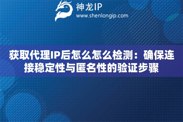 獲取代理IP后怎么怎么檢測：確保連接穩(wěn)定性與匿名性的驗證步驟