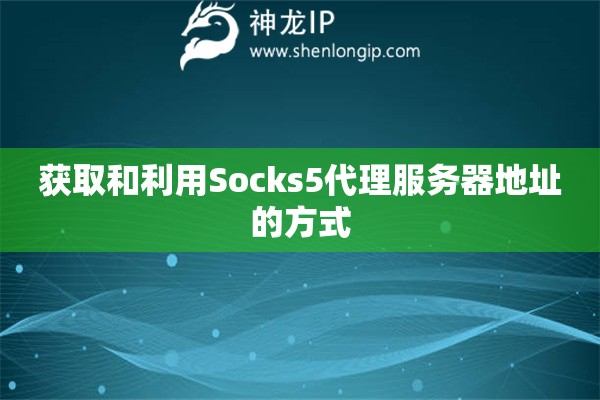 獲取和利用Socks5代理服務(wù)器地址的方式