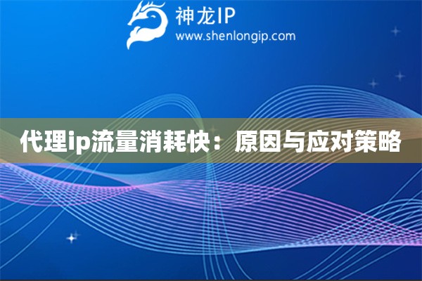 代理ip流量消耗快：原因與應(yīng)對(duì)策略