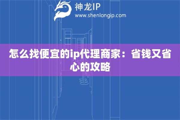 怎么找便宜的ip代理商家：省錢又省心的攻略