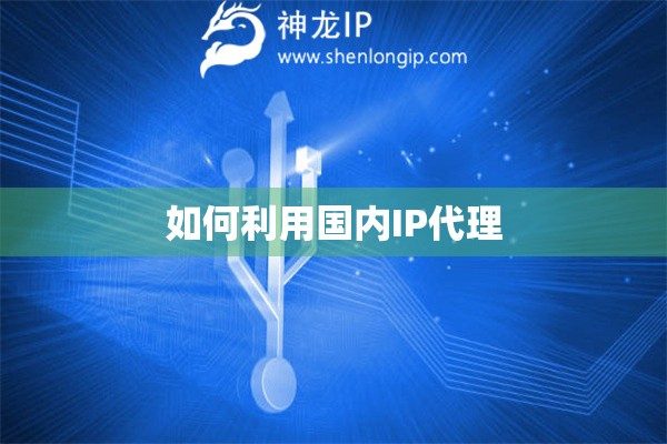 如何利用國(guó)內(nèi)IP代理