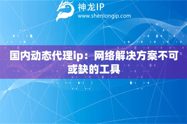 國內(nèi)動態(tài)代理ip：網(wǎng)絡(luò)解決方案不可或缺的工具
