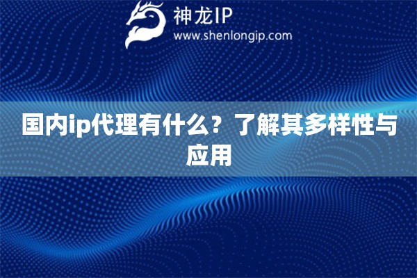 國(guó)內(nèi)ip代理有什么？了解其多樣性與應(yīng)用