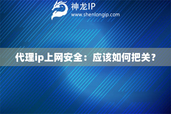 代理ip上網(wǎng)安全：應該如何把關？