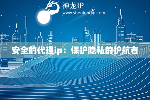 安全的代理ip：保護隱私的護航者