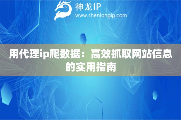 用代理ip爬數(shù)據(jù)：高效抓取網(wǎng)站信息的實用指南