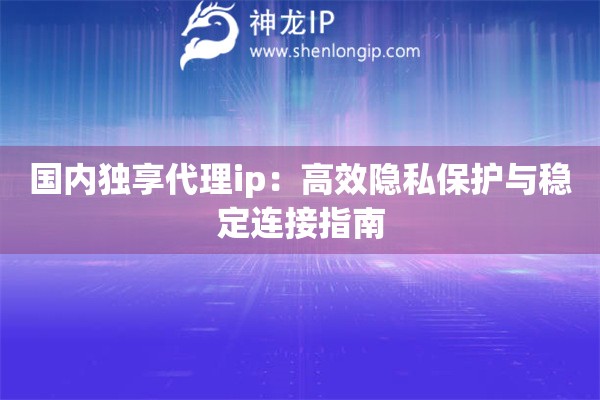 國(guó)內(nèi)獨(dú)享代理ip：高效隱私保護(hù)與穩(wěn)定連接指南