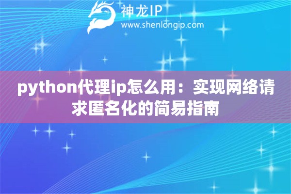 python代理ip怎么用：實(shí)現(xiàn)網(wǎng)絡(luò)請求匿名化的簡易指南