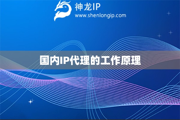 國內(nèi)IP代理的工作原理