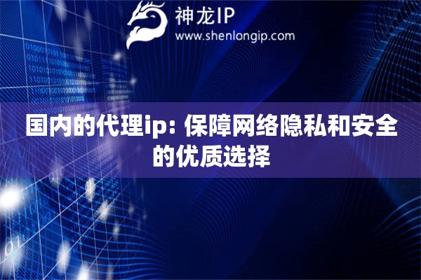 國(guó)內(nèi)的代理ip: 保障網(wǎng)絡(luò)隱私和安全的優(yōu)質(zhì)選擇