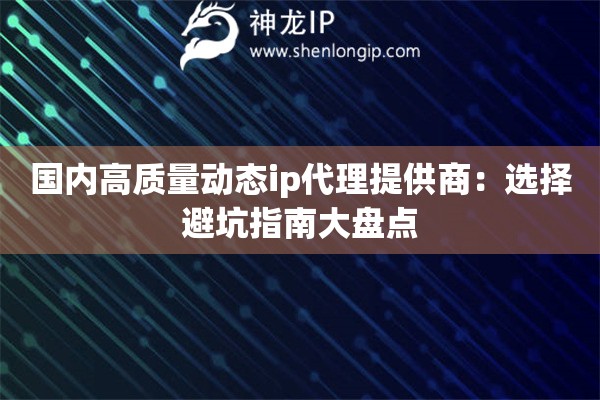 國(guó)內(nèi)高質(zhì)量動(dòng)態(tài)ip代理提供商：選擇避坑指南大盤(pán)點(diǎn)