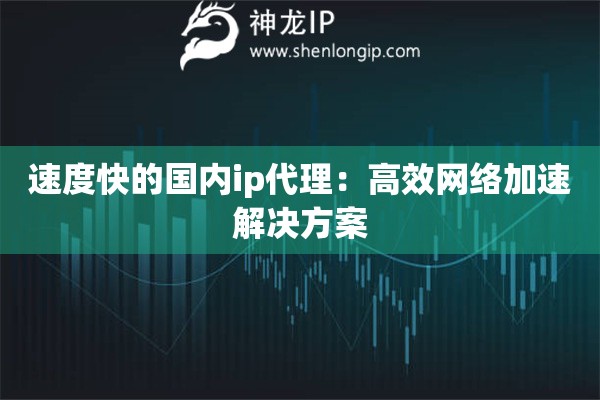 速度快的國(guó)內(nèi)ip代理：高效網(wǎng)絡(luò)加速解決方案
