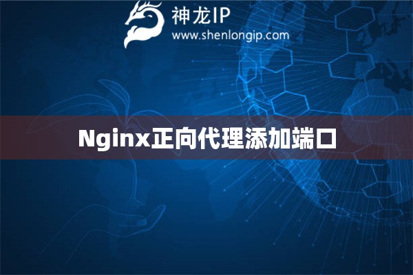 Nginx正向代理添加端口