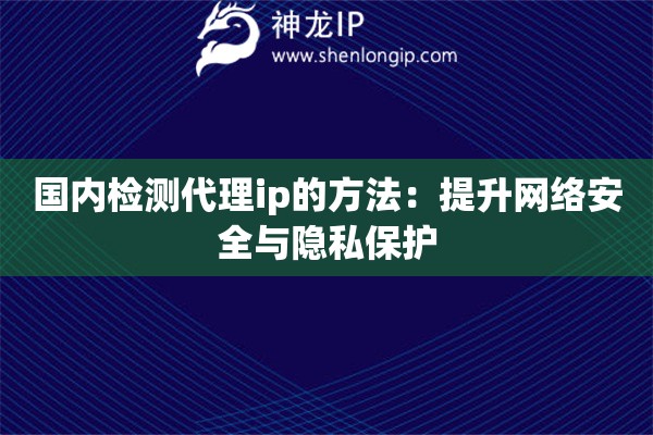 國內(nèi)檢測代理ip的方法：提升網(wǎng)絡(luò)安全與隱私保護(hù)