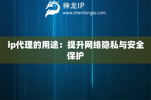 ip代理的用途：提升網(wǎng)絡隱私與安全保護
