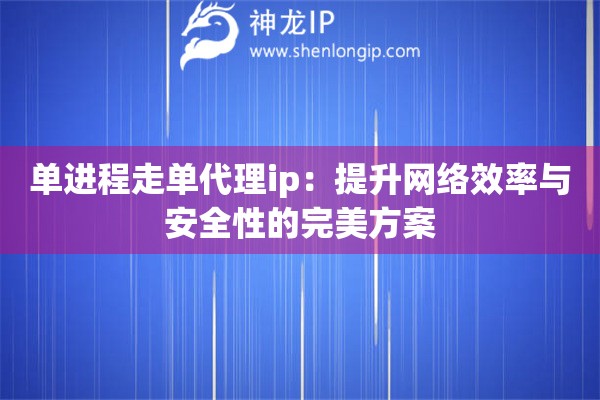 單進(jìn)程走單代理ip：提升網(wǎng)絡(luò)效率與安全性的完美方案