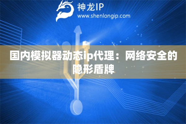 國(guó)內(nèi)模擬器動(dòng)態(tài)ip代理：網(wǎng)絡(luò)安全的隱形盾牌