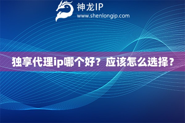 獨享代理ip哪個好？應該怎么選擇？