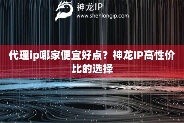 代理ip哪家便宜好點(diǎn)？神龍IP高性價(jià)比的選擇