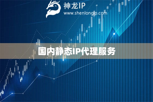 國內(nèi)靜態(tài)IP代理服務(wù)