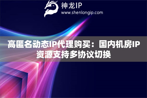 高匿名動態(tài)IP代理購買：國內(nèi)機房IP資源支持多協(xié)議切換