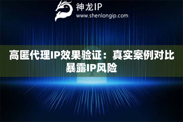 高匿代理IP效果驗(yàn)證：真實(shí)案例對比暴露IP風(fēng)險(xiǎn)