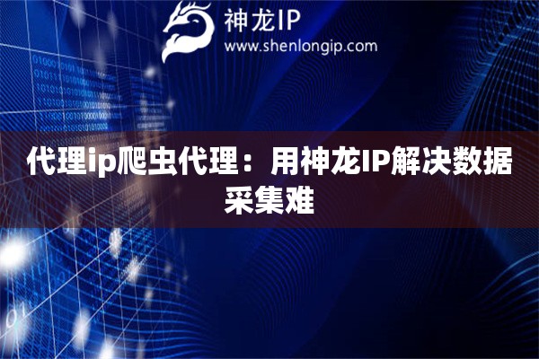 代理ip爬蟲代理：用神龍IP解決數(shù)據(jù)采集難