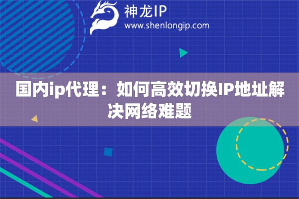 國(guó)內(nèi)ip代理：如何高效切換IP地址解決網(wǎng)絡(luò)難題