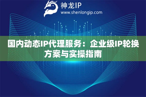 國內(nèi)動態(tài)IP代理服務(wù)：企業(yè)級IP輪換方案與實操指南