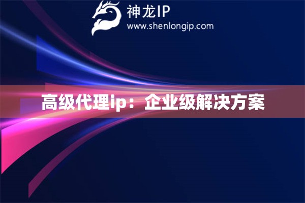 高級代理ip：企業(yè)級解決方案