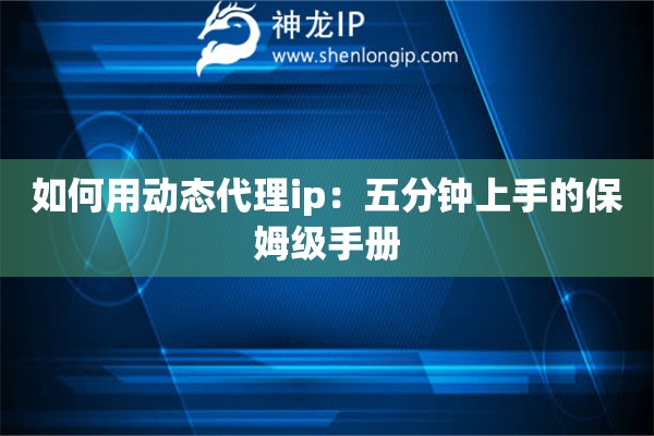 如何用動態(tài)代理ip：五分鐘上手的保姆級手冊