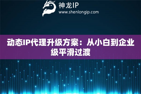 動態(tài)IP代理升級方案：從小白到企業(yè)級平滑過渡