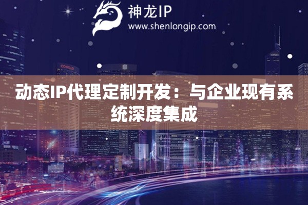 動態(tài)IP代理定制開發(fā)：與企業(yè)現(xiàn)有系統(tǒng)深度集成