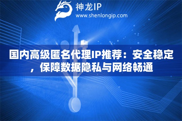 國內(nèi)高級(jí)匿名代理IP推薦：安全穩(wěn)定，保障數(shù)據(jù)隱私與網(wǎng)絡(luò)暢通